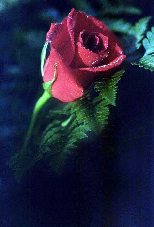 We're Glad You're Here!